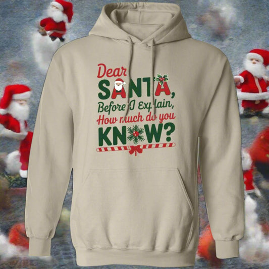 Dear Santa